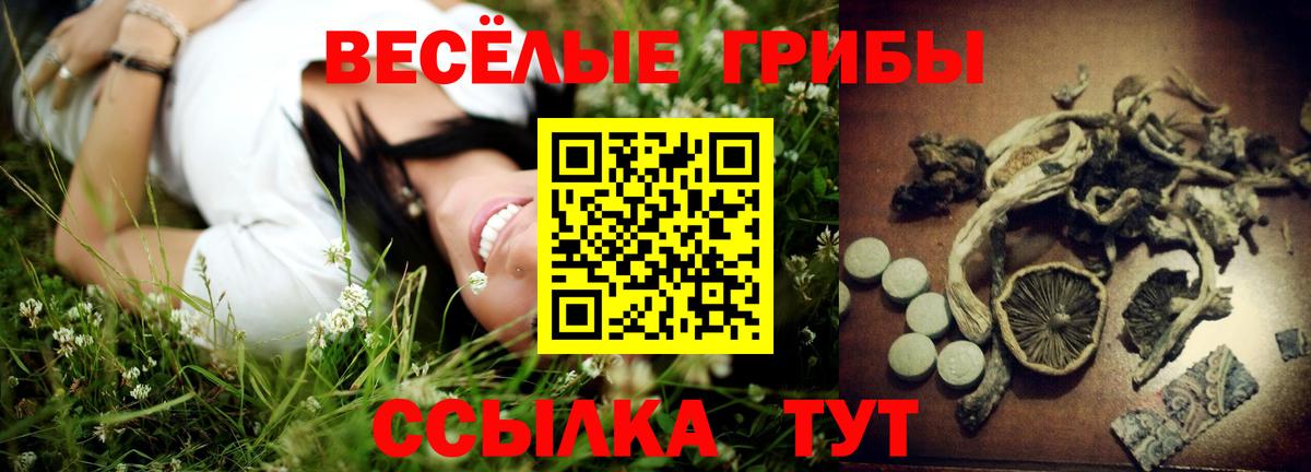 Галлюциногенные грибы ЛСД Ефремов